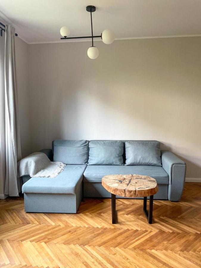 Flh - Nana'S Apartment Сібіу Екстер'єр фото